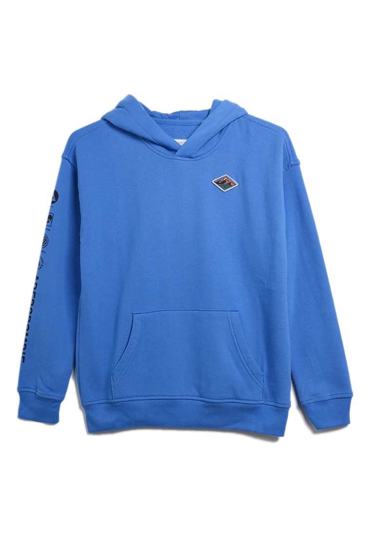 Abercrombie & Fitch Ready For Play Logo Hoodie