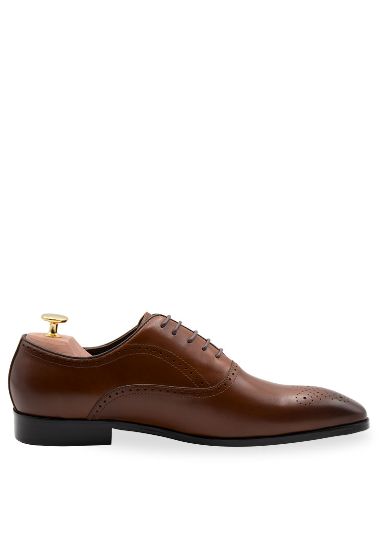 Arden Teal Mendoza Medallion Chestnut Oxford