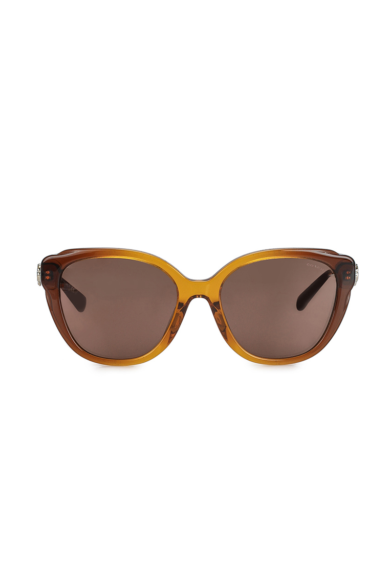 COACH Coach Women's Square Frame Brown Acetate Sunglasses - HC8347BU