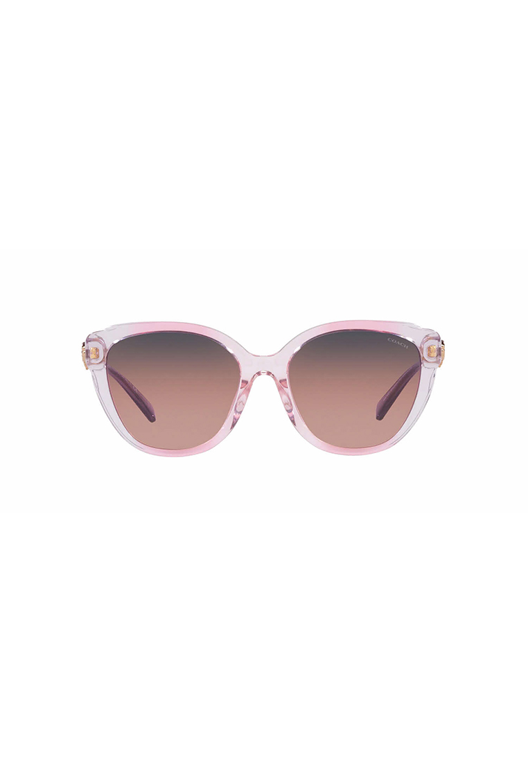 COACH Coach Women's Square Frame Pink Acetate Sunglasses - HC8347BU