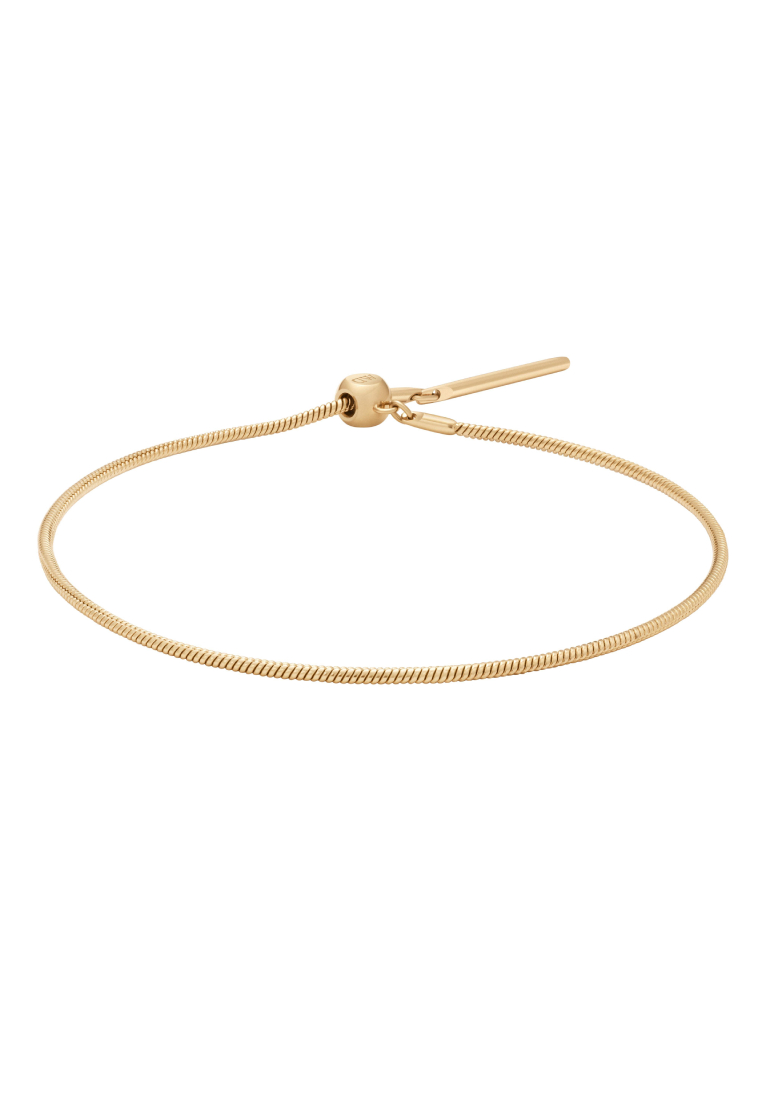 Daniel Wellington Charm Snake Bracelet Gold - Stainless Steel Chain Bracelet - Charm collection - DW official